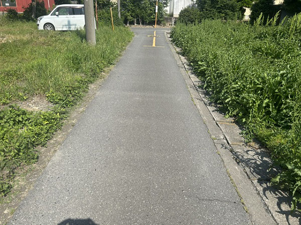 写真情報