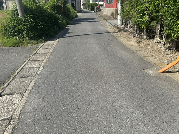 写真情報